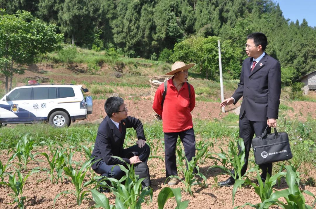 【检护民生】梁平：检察建议督促拆除耕地上的违法建筑，守?“巴蜀粮仓? /></a></td>
     </tr>
        </tbody>
      </table>
      <ul id=